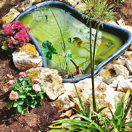 בית אירוח La Maison Aux Volets Bleus Cosy Et Vintage A La Campagne